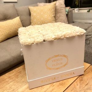 Venus et Fleur Forever Eternity White Roses